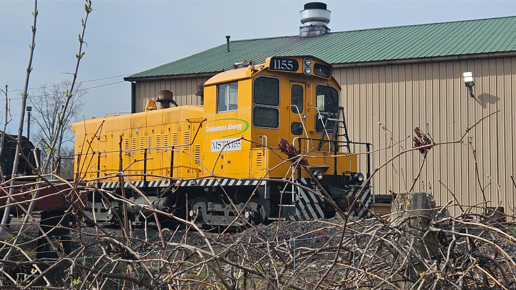 MSTX 1155